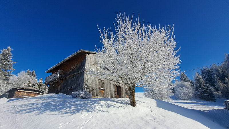 Randonnées hivernales