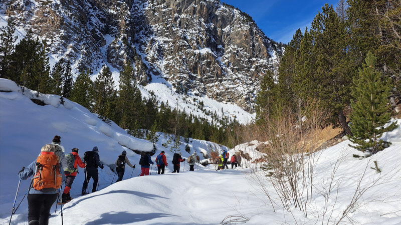 Randonnées hivernales