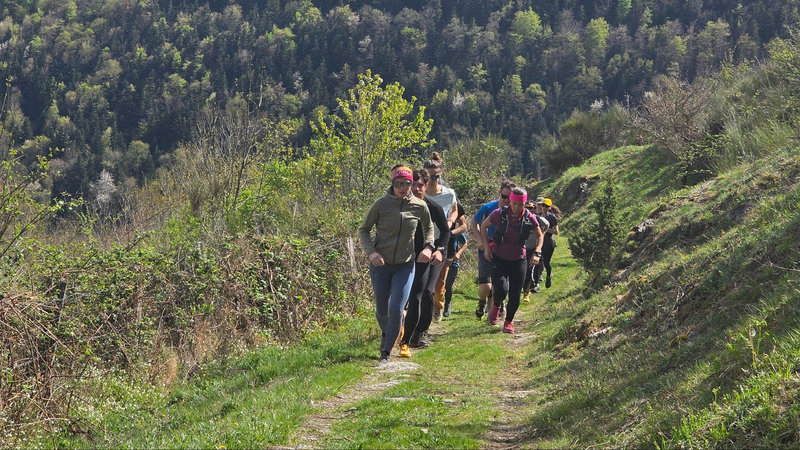 Trail