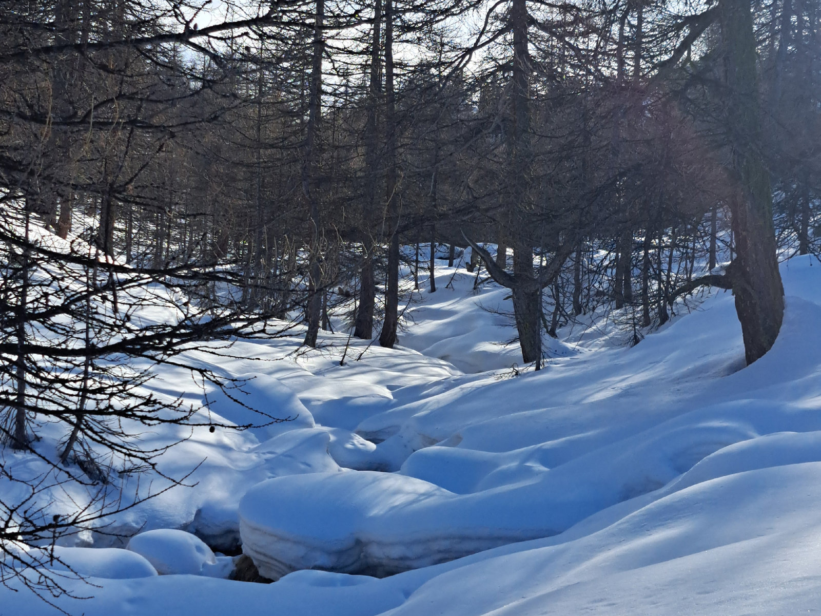 Vallée de la Clarée