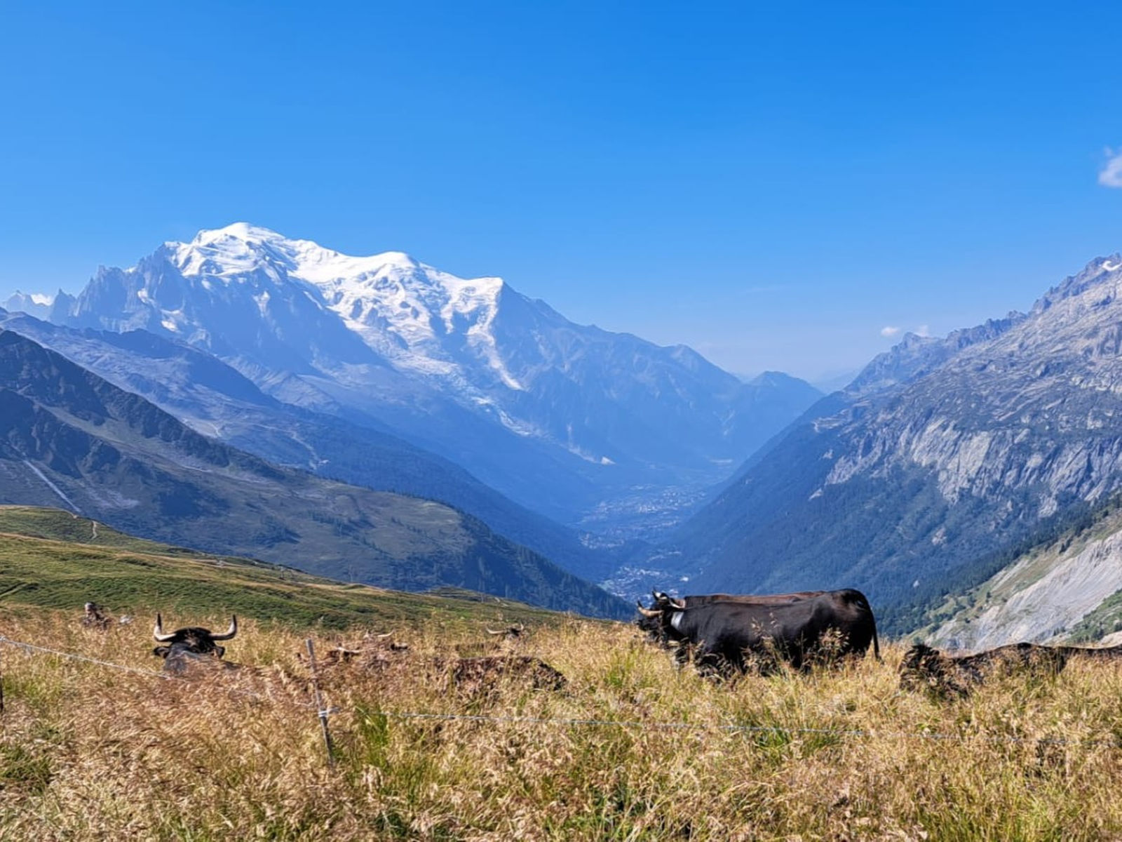 Massif du Mont-Blanc