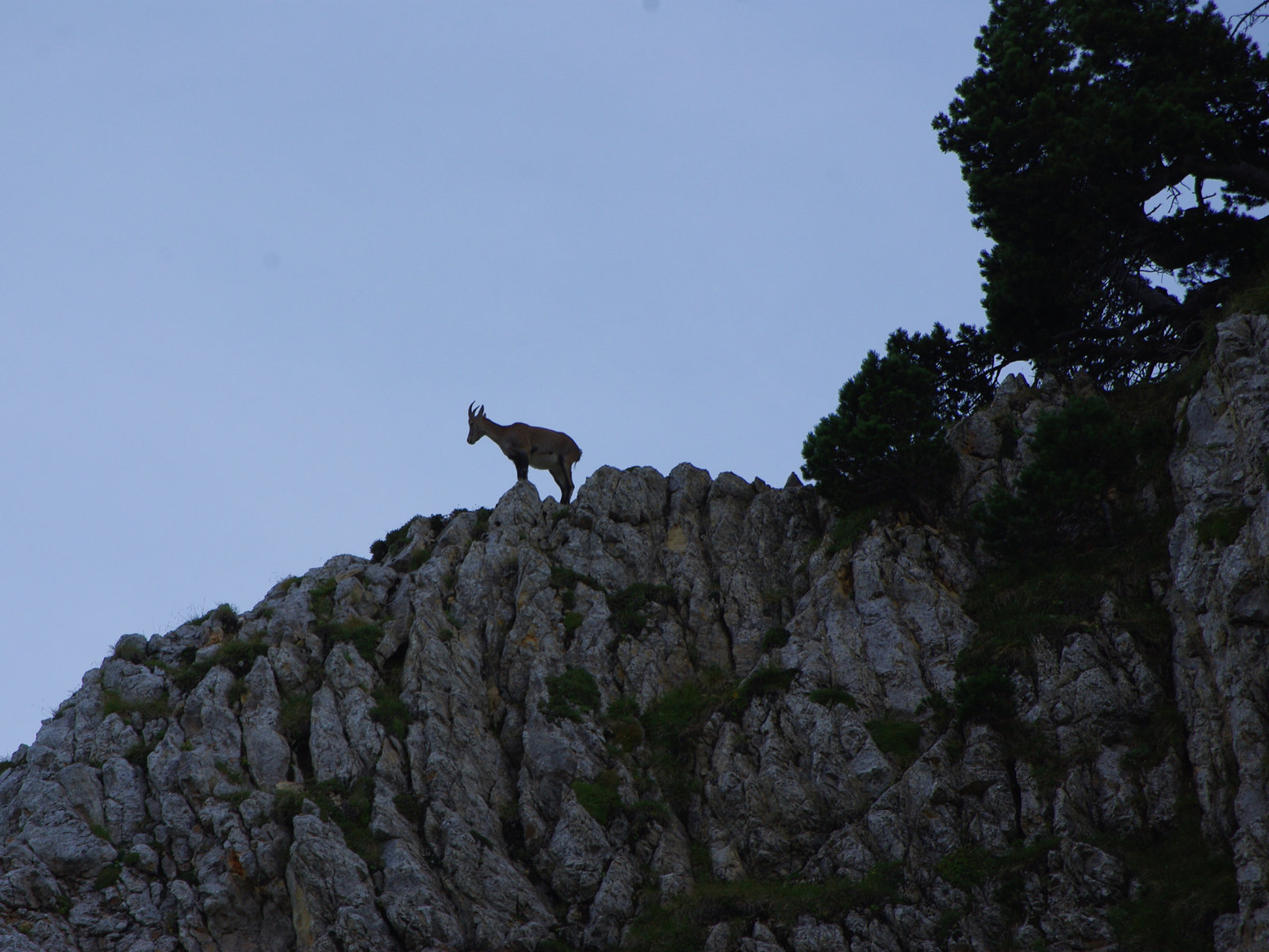 Vercors