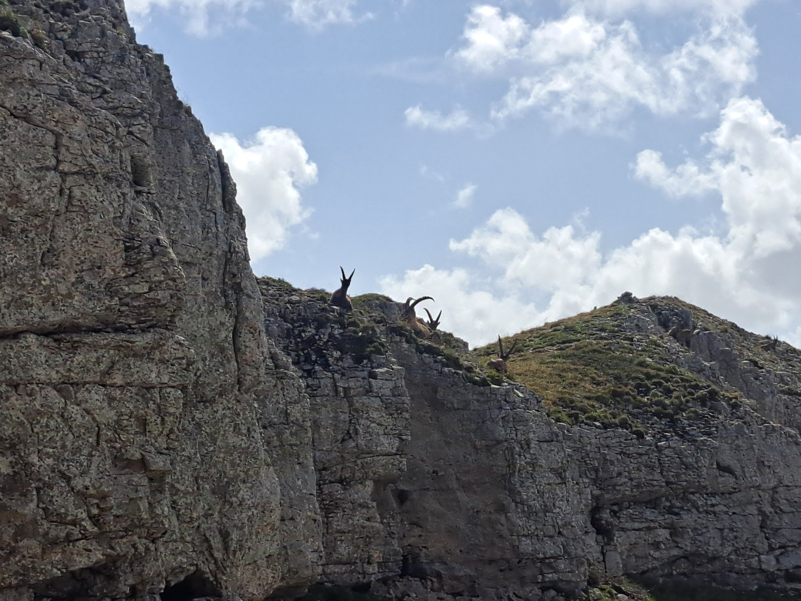 Vercors