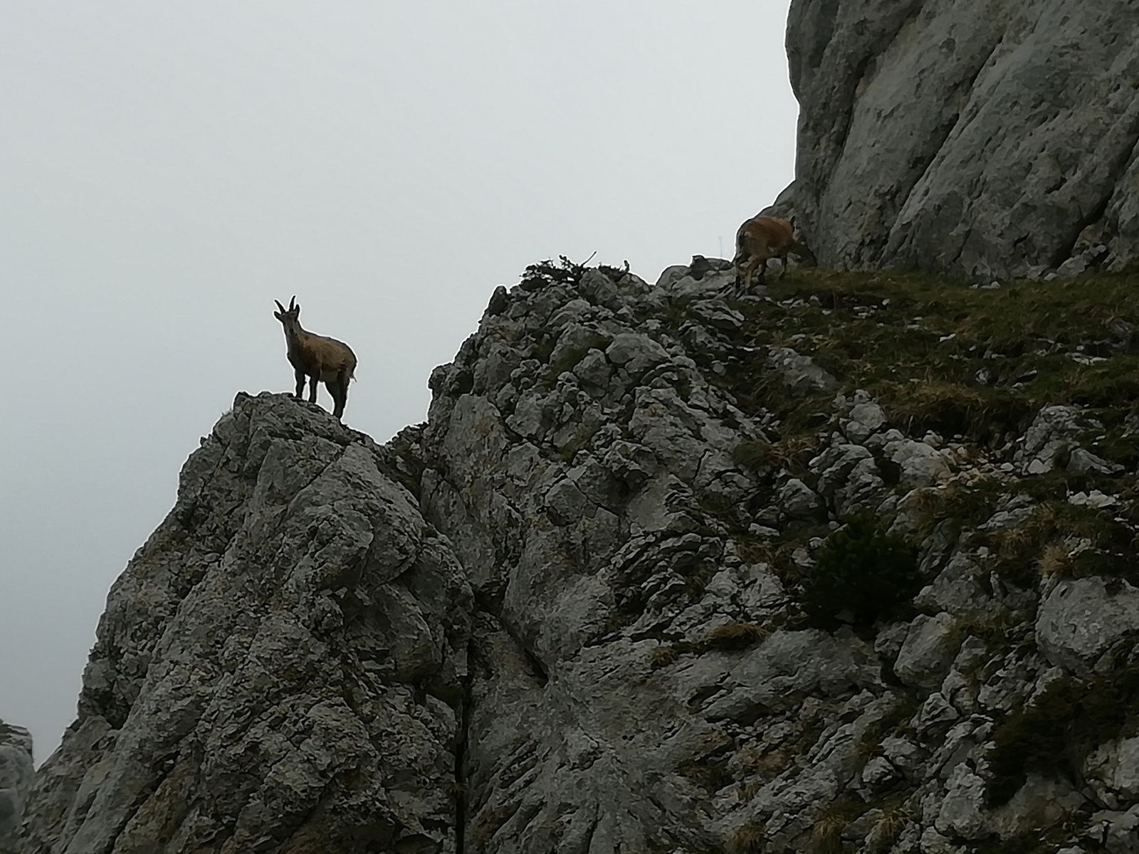 Vercors